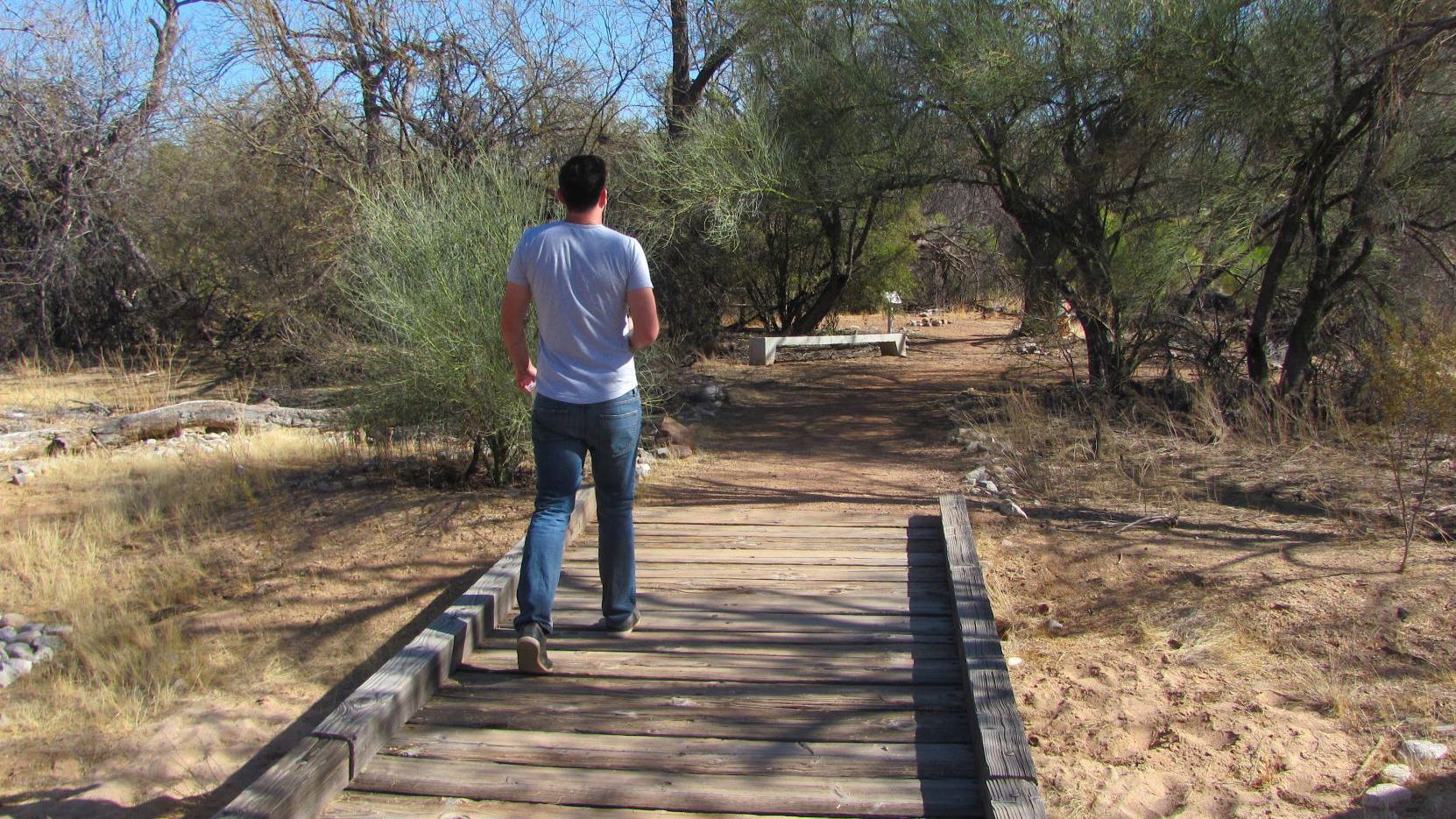 Tucson weather: Sunny and warm with an afternoon breeze